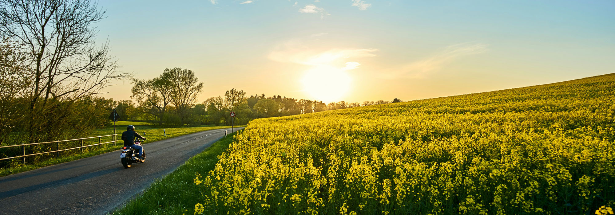 Motorradfahrer auf einer Landstraße bei Sonnenuntergang umgeben von Rapsfeldern