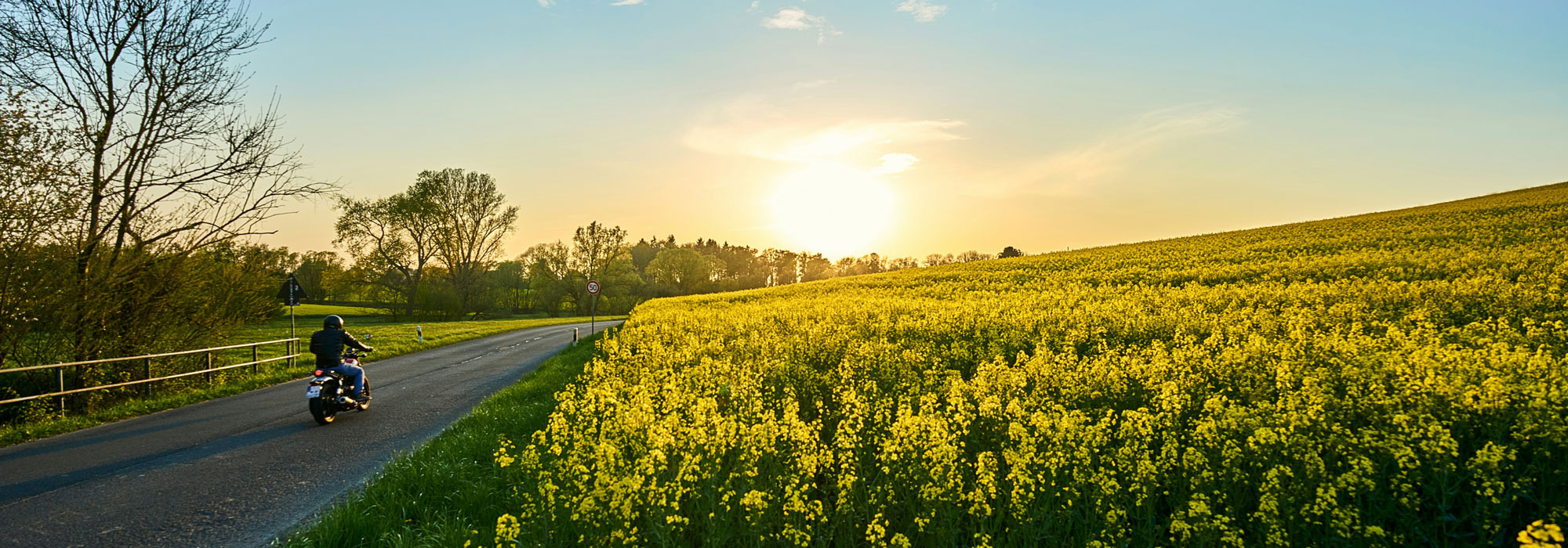 Motorradfahrer auf einer Landstraße bei Sonnenuntergang umgeben von Rapsfeldern